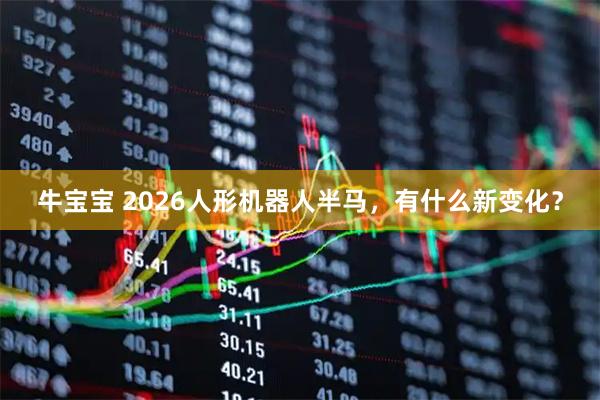 牛宝宝 2026人形机器人半马，有什么新变化？
