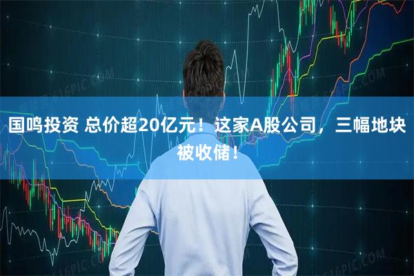 国鸣投资 总价超20亿元！这家A股公司，三幅地块被收储！